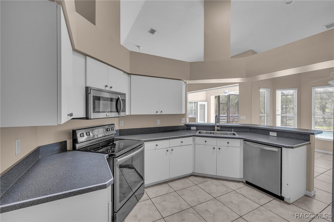 1155 N Mediterranean Way, Inverness, Florida image 15
