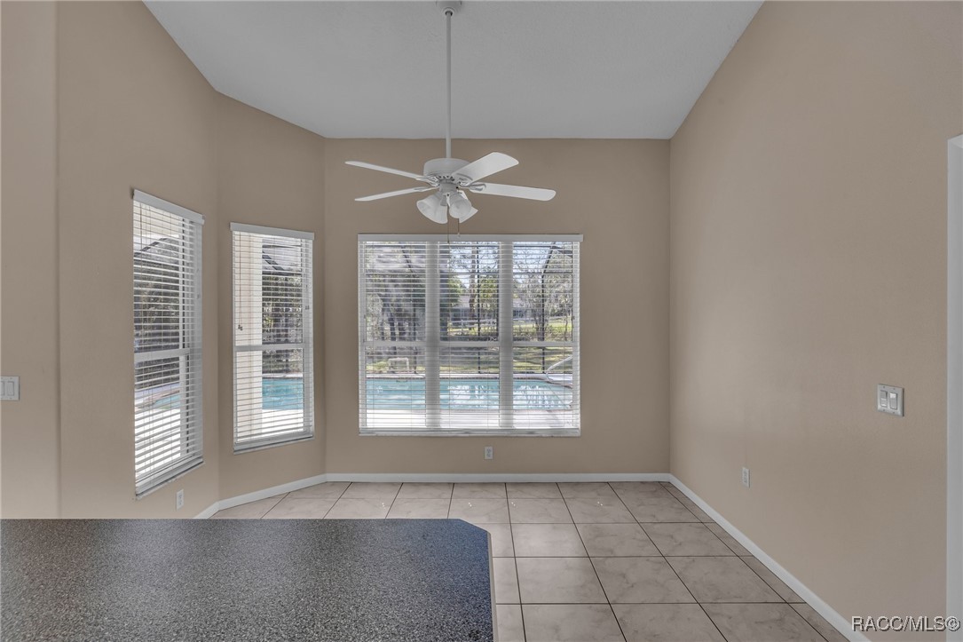 1155 N Mediterranean Way, Inverness, Florida image 17