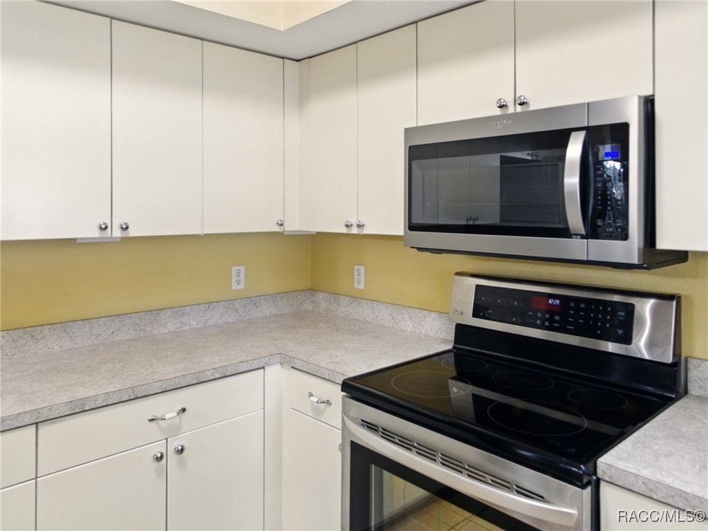 8599 N Messina Loop, Crystal River, Florida image 15