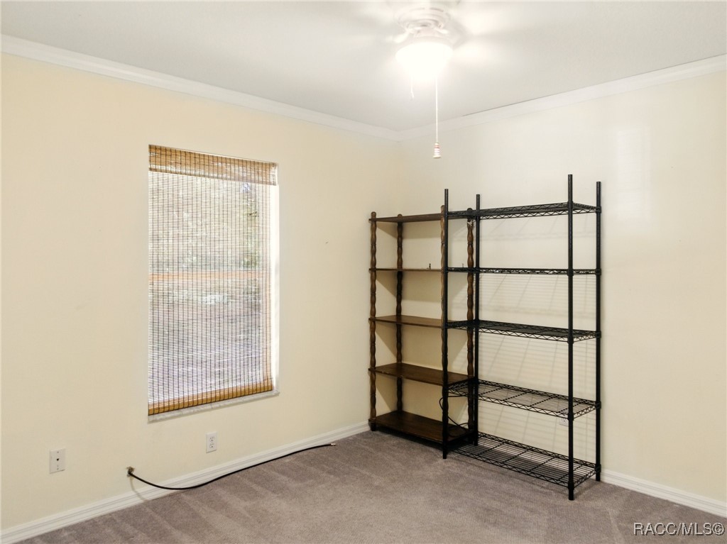 8599 N Messina Loop, Crystal River, Florida image 21