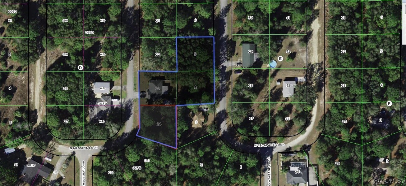 8599 N Messina Loop, Crystal River, Florida image 30