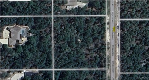 4996 N Lupine Terrace Beverly Hills FL 34465