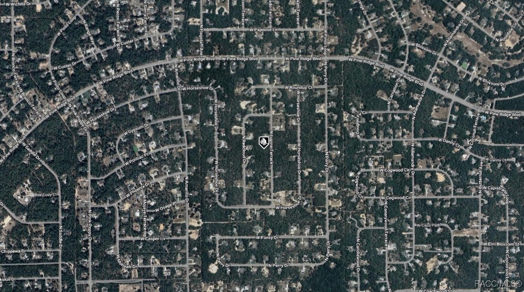 4996 N Lupine Terrace