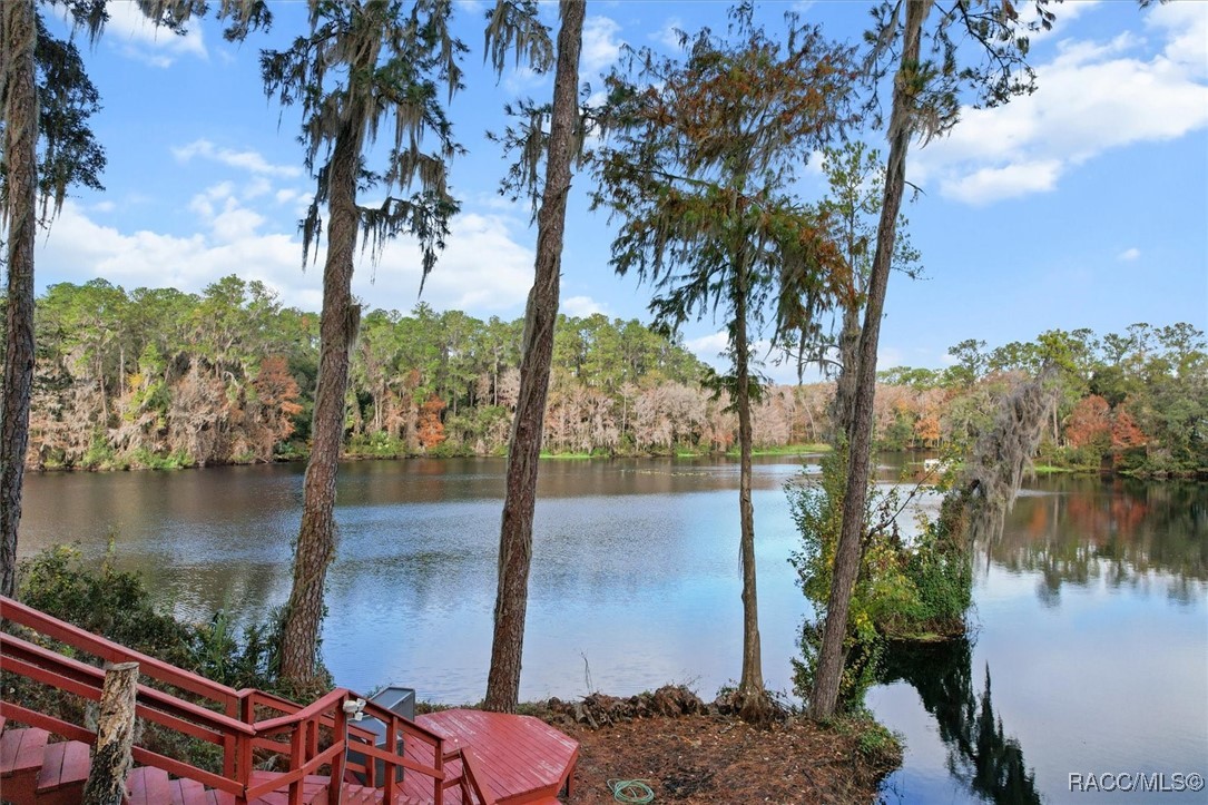 11870 N Bluff Cove Path, Dunnellon, Florida image 1