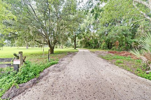 A home in Hernando