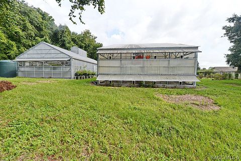 A home in Hernando