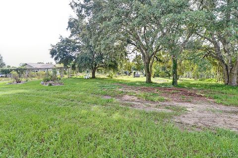 A home in Hernando