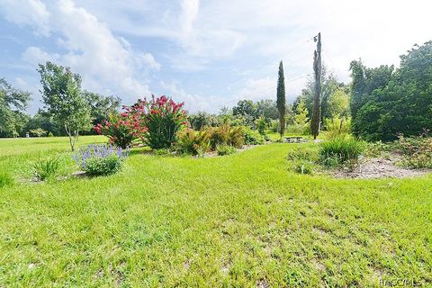 A home in Hernando