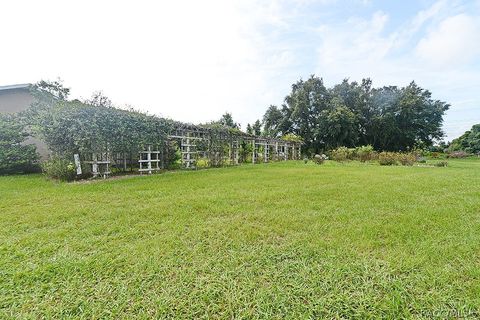 A home in Hernando