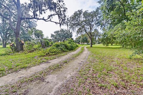 A home in Hernando