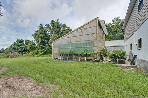 A home in Hernando