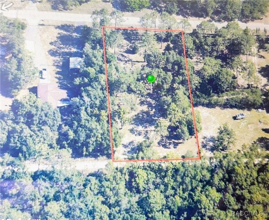 5720 W Nobis Circle, Homosassa, Florida image 5