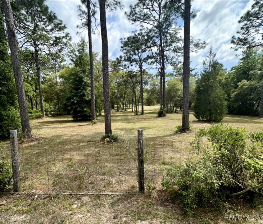 5720 W Nobis Circle, Homosassa, Florida image 3