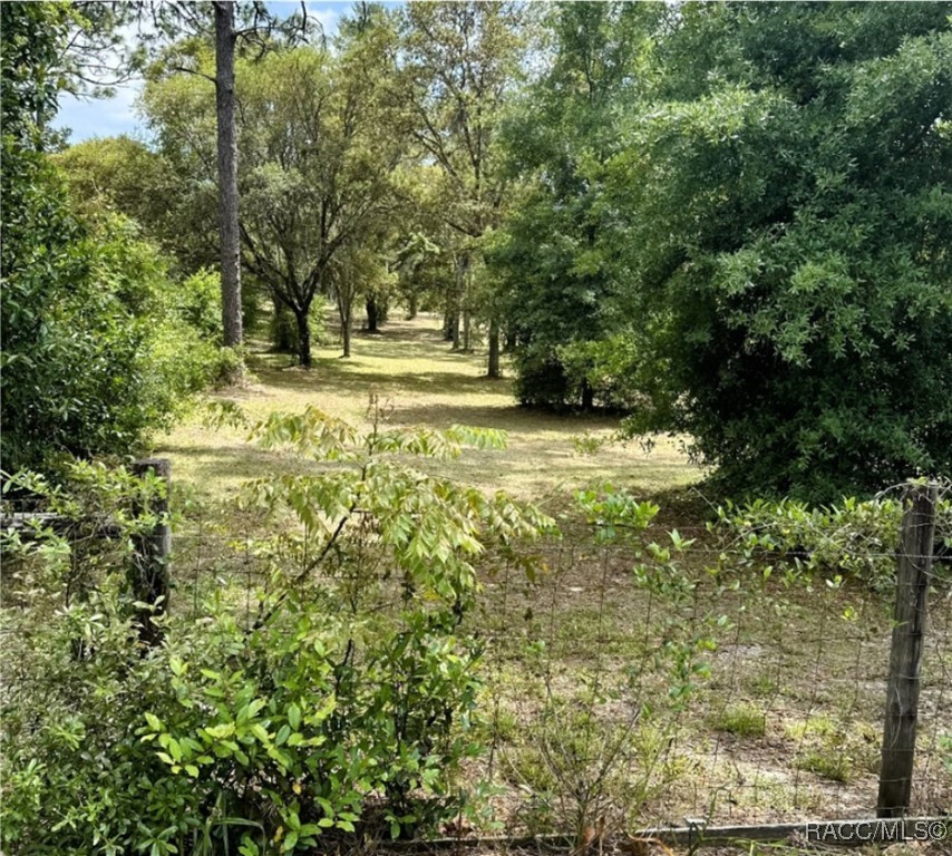 5720 W Nobis Circle, Homosassa, Florida image 2