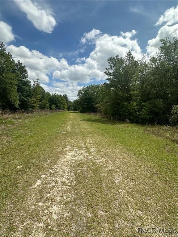 8274 W Lawton Lane, Crystal River, Florida image 3