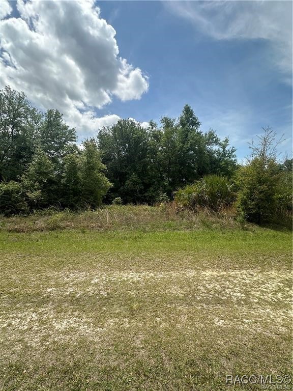 8274 W Lawton Lane, Crystal River, Florida image 2