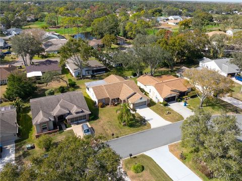 A home in Spring Hill