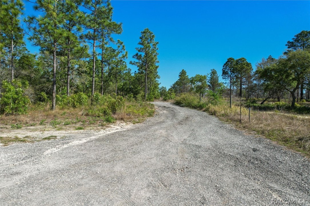 12090 Raschke Run, Weeki Wachee, Florida image 6