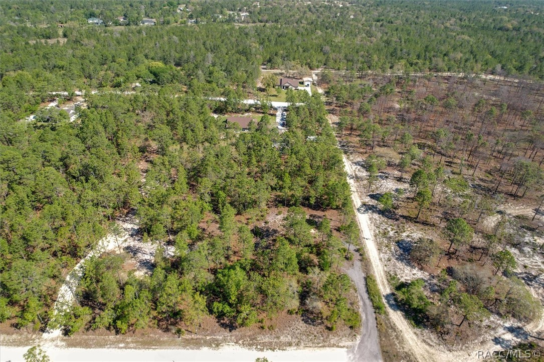 12090 Raschke Run, Weeki Wachee, Florida image 13