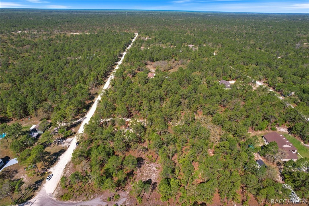 12090 Raschke Run, Weeki Wachee, Florida image 11