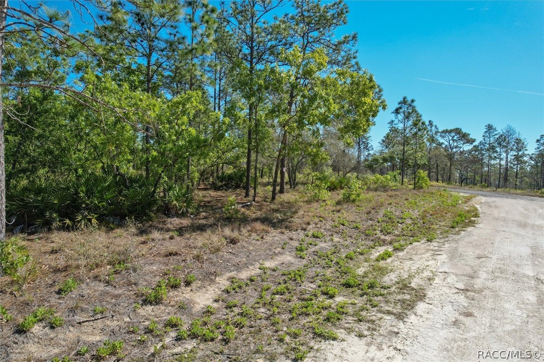 12090 Raschke Run, Weeki Wachee, Florida image 14