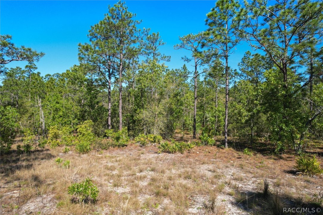 12090 Raschke Run, Weeki Wachee, Florida image 9