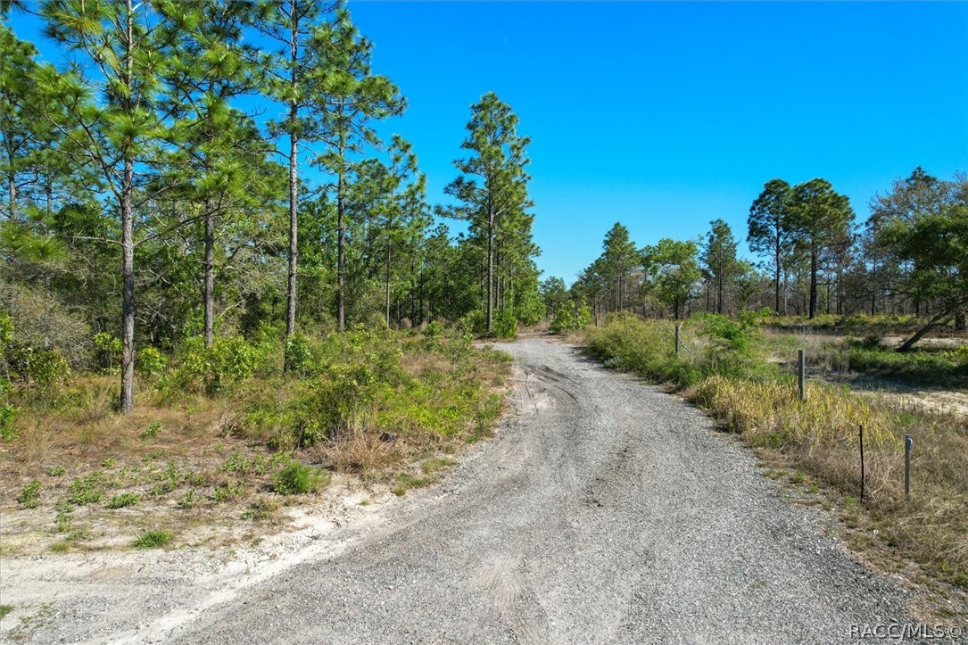 12090 Raschke Run, Weeki Wachee, Florida image 2