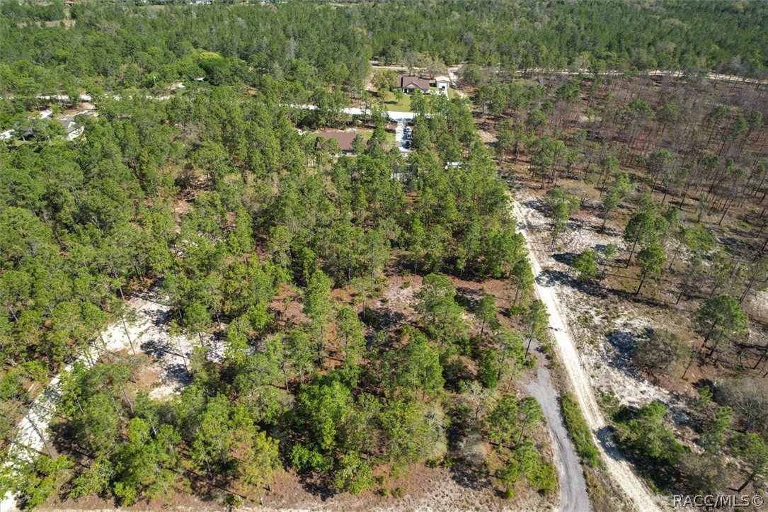 12090 Raschke Run, Weeki Wachee, Florida image 12