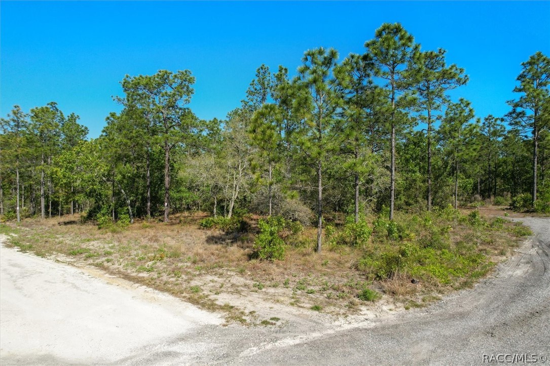 12090 Raschke Run, Weeki Wachee, Florida image 4