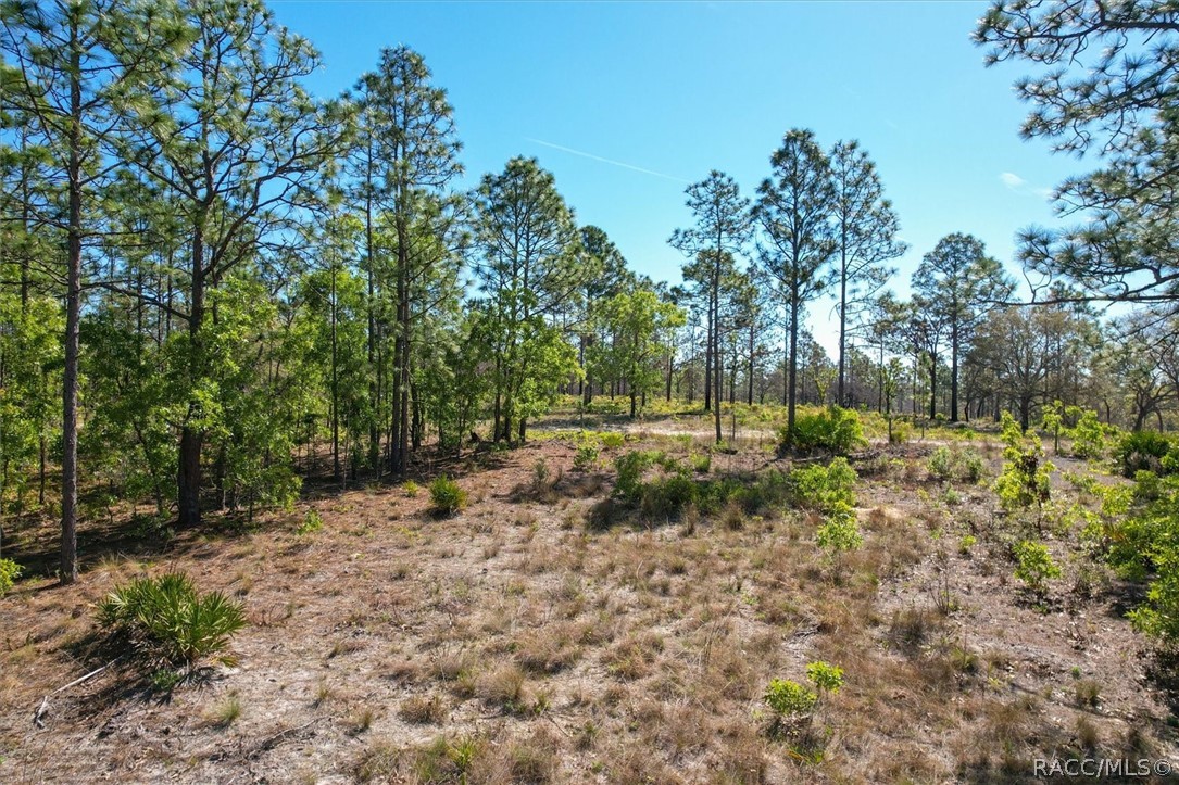 12090 Raschke Run, Weeki Wachee, Florida image 7