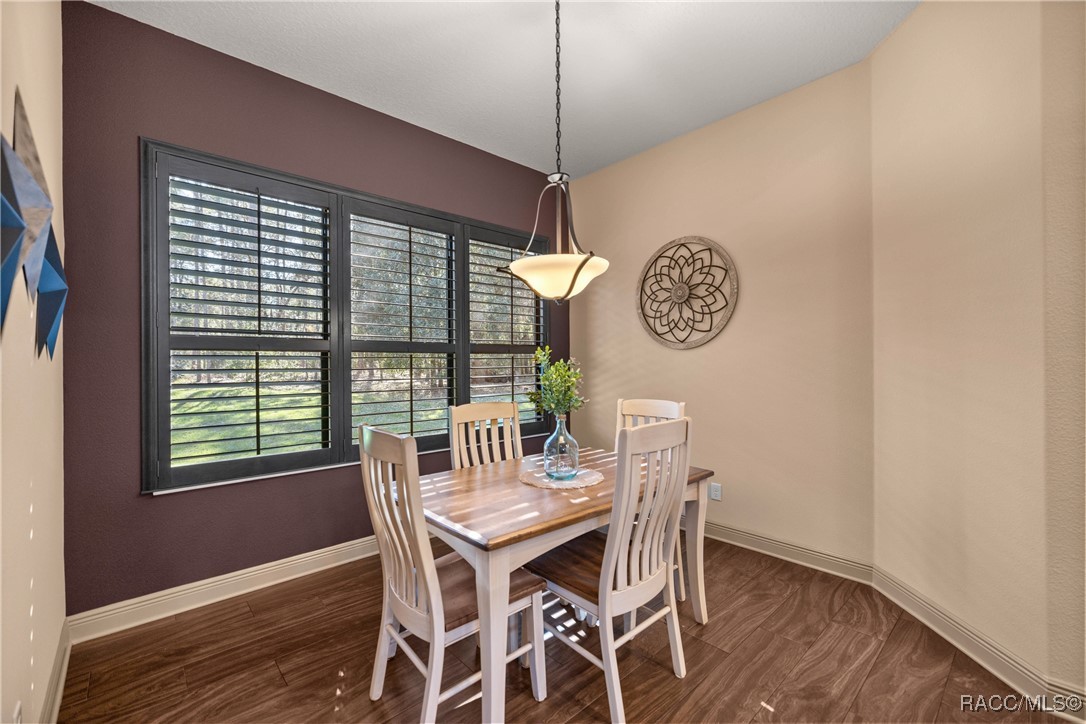4040 N Little Dove Terrace, Hernando, Florida image 19