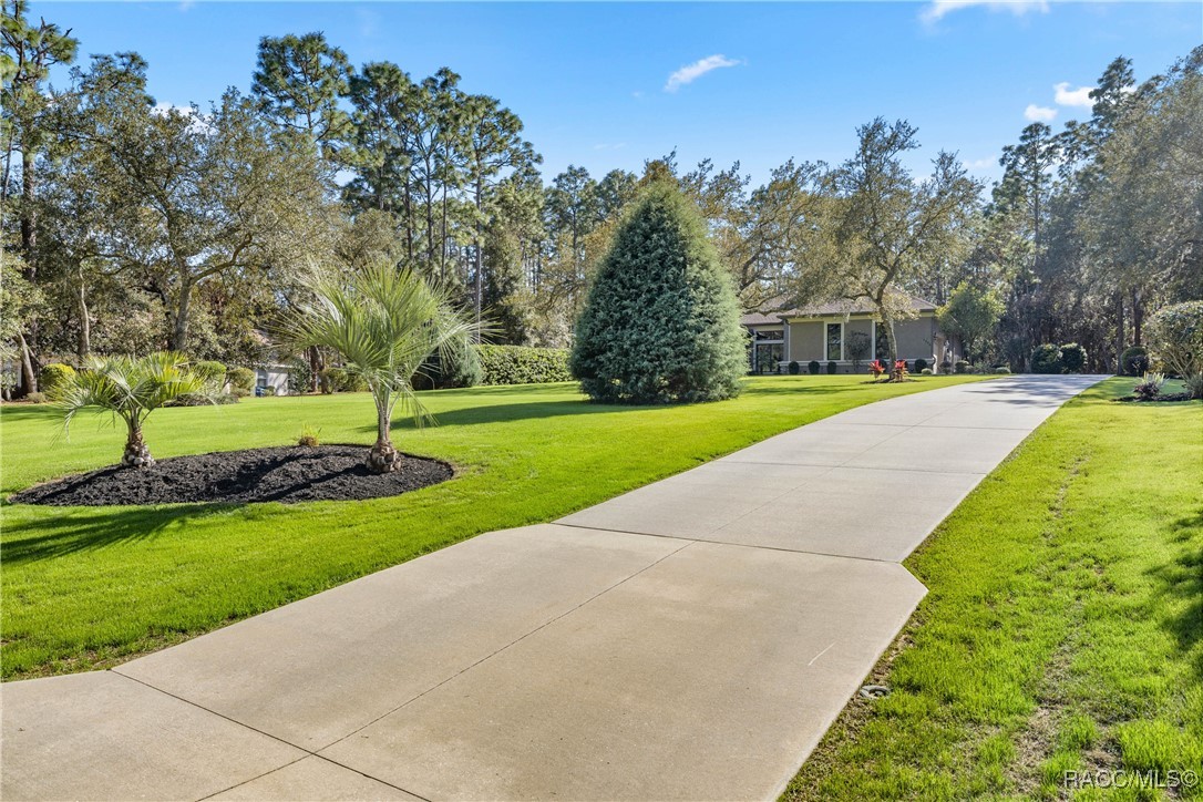 4040 N Little Dove Terrace, Hernando, Florida image 7