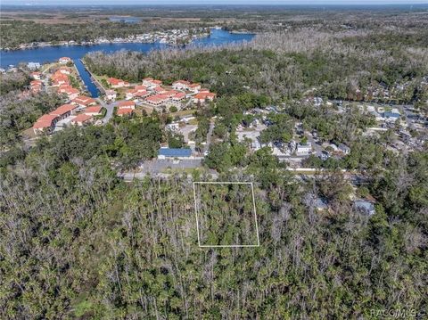 Vacant Land For Sale - 10206 W Yulee Drive<br/> Homosassa, FL 34448