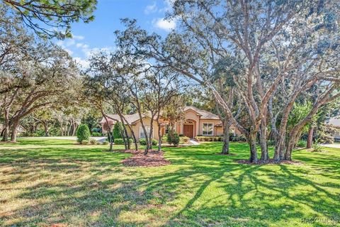 A home in Lecanto