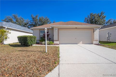 A home in Floral City