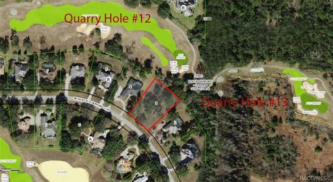 3834 W Black Diamond Circle Lecanto FL 34461