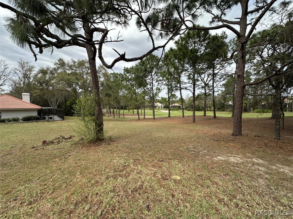 3667 W Treyburn Path, Lecanto, New York image 12