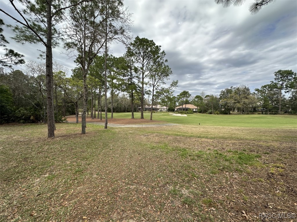 3667 W Treyburn Path, Lecanto, New York image 9