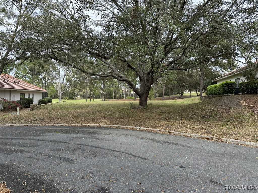 3667 W Treyburn Path, Lecanto, New York image 1
