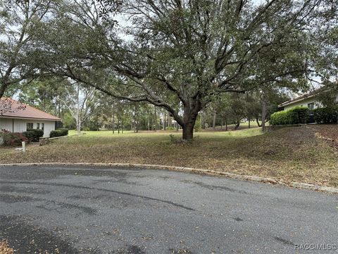 3667 W Treyburn Path Lecanto FL 34461