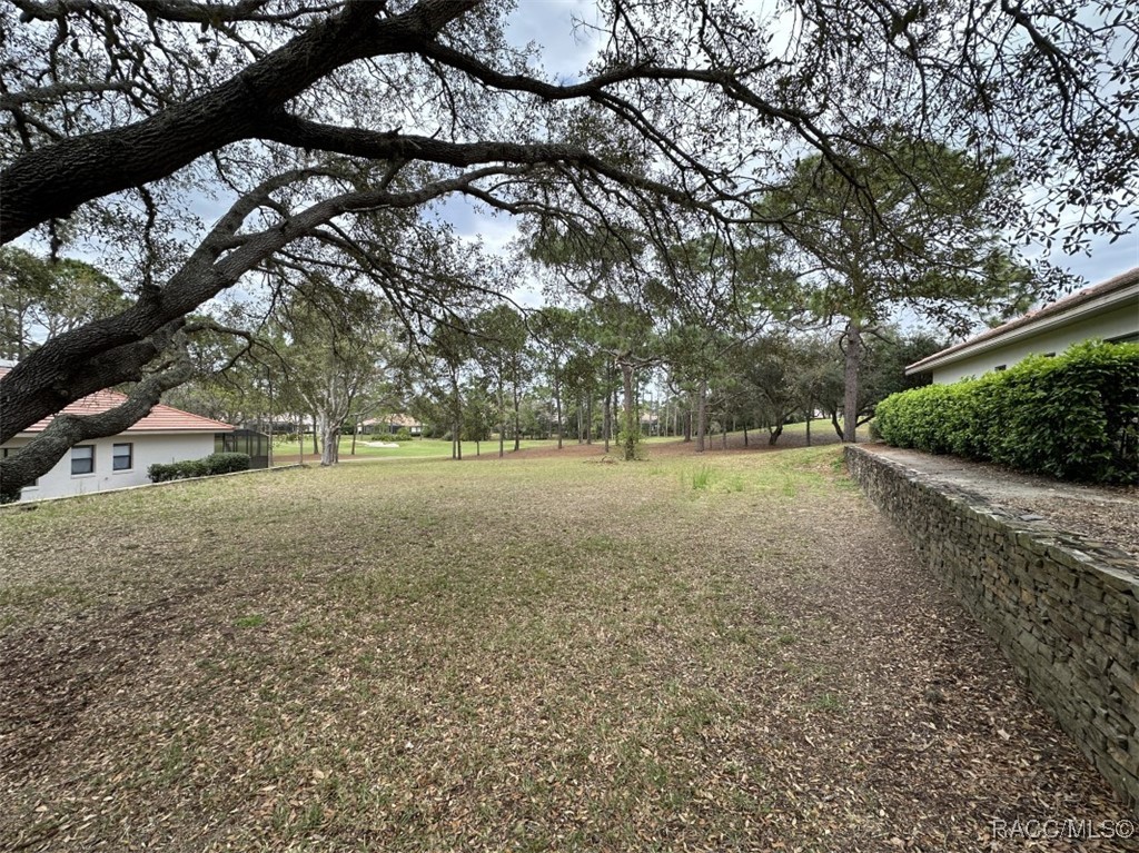 3667 W Treyburn Path, Lecanto, New York image 3