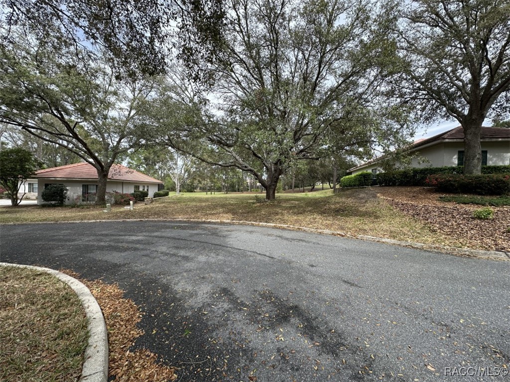 3667 W Treyburn Path, Lecanto, New York image 2