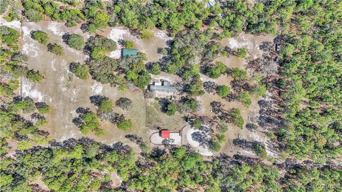 7471 W Quiana Lane, Dunnellon, Florida image 25