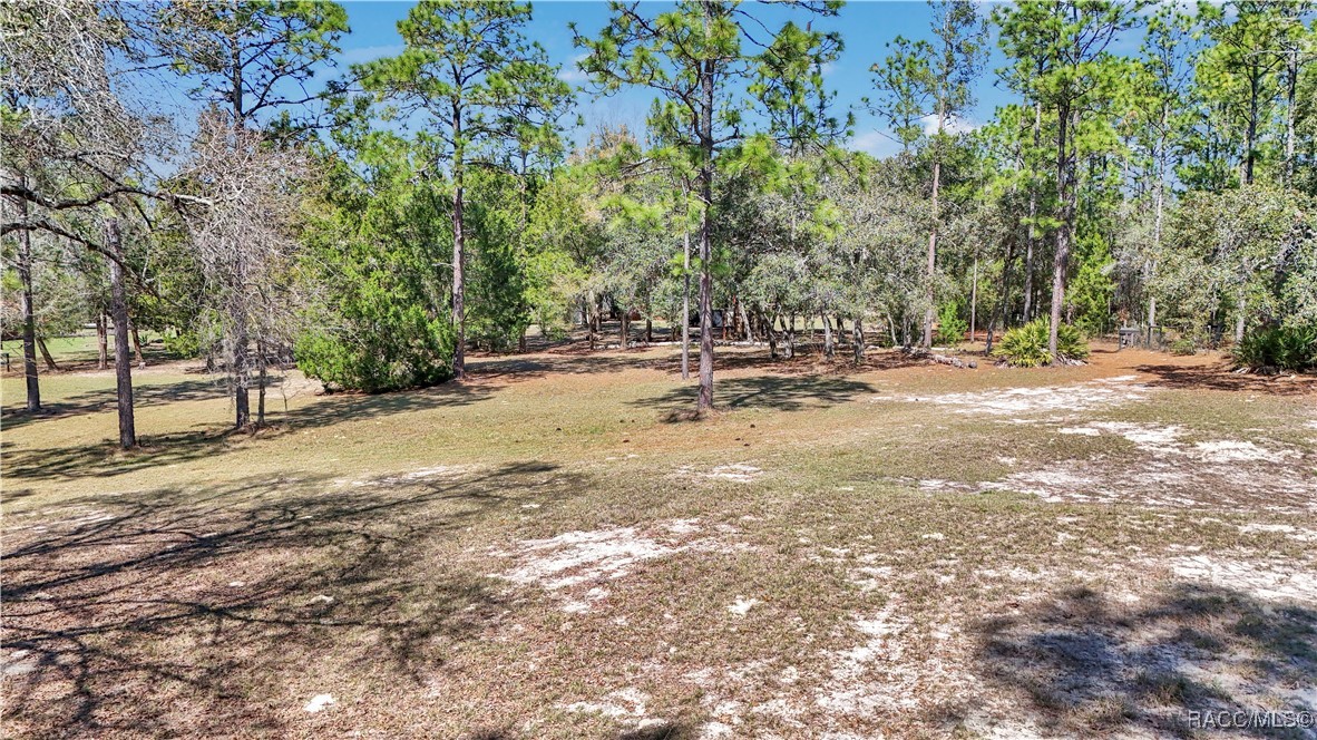 7471 W Quiana Lane, Dunnellon, Florida image 3