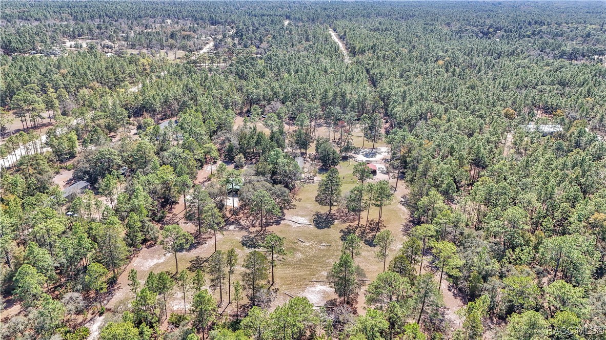 7471 W Quiana Lane, Dunnellon, Florida image 18