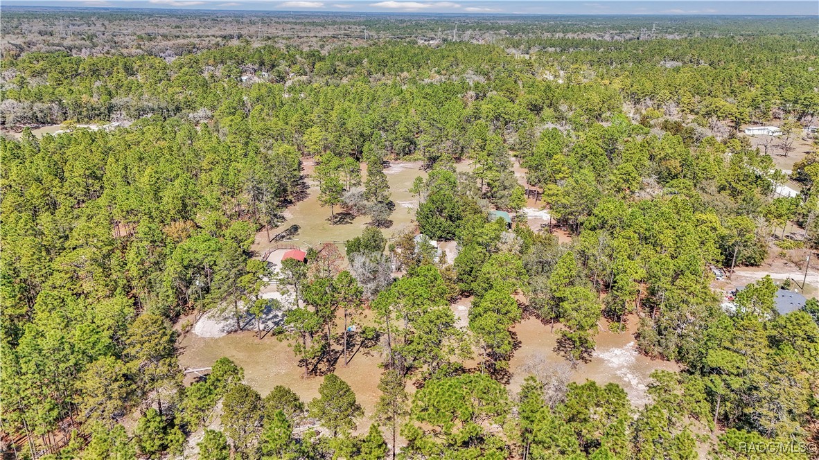 7471 W Quiana Lane, Dunnellon, Florida image 15