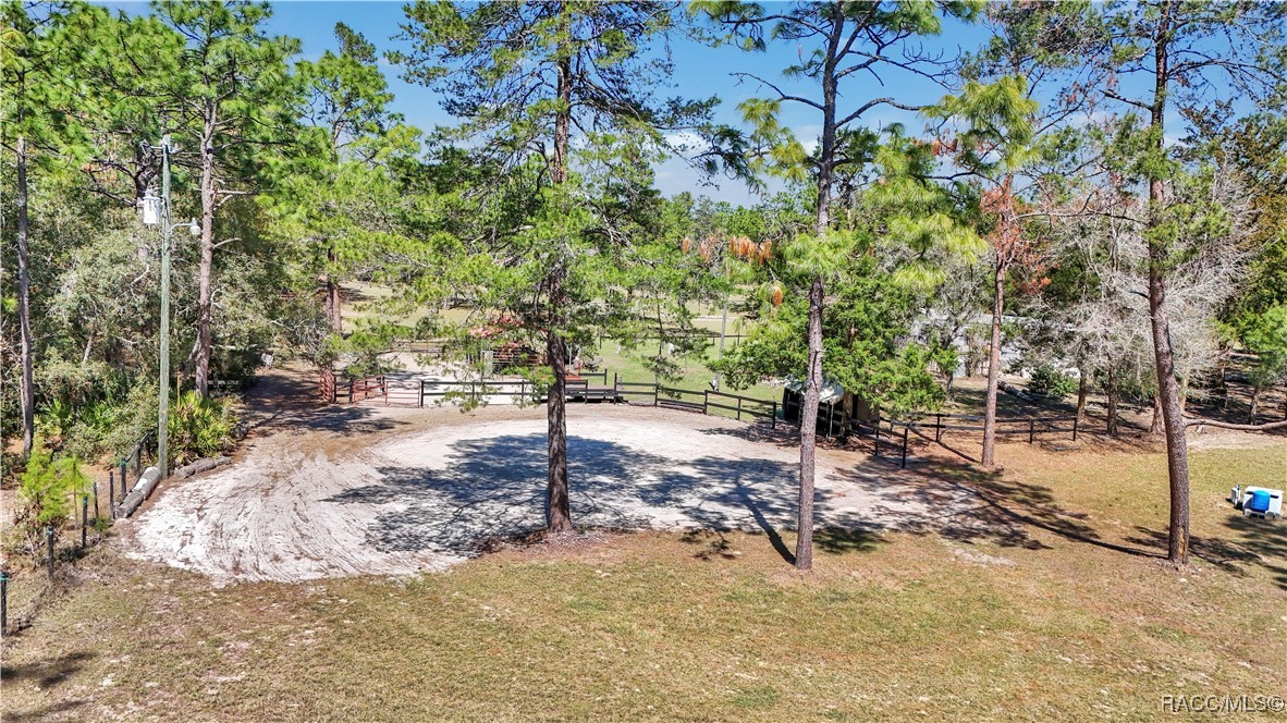 7471 W Quiana Lane, Dunnellon, Florida image 6