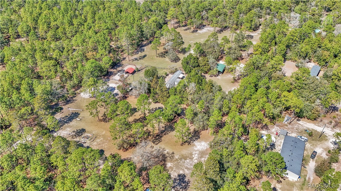 7471 W Quiana Lane, Dunnellon, Florida image 27