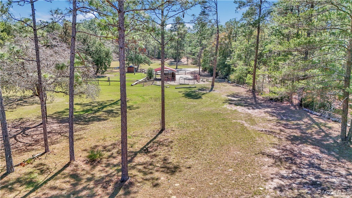7471 W Quiana Lane, Dunnellon, Florida image 22