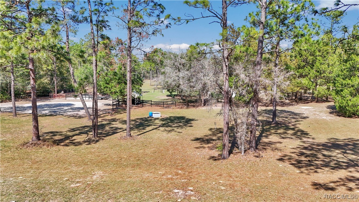 7471 W Quiana Lane, Dunnellon, Florida image 5